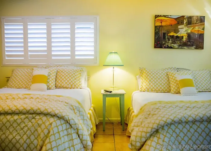 Rex מלון קלמאטה